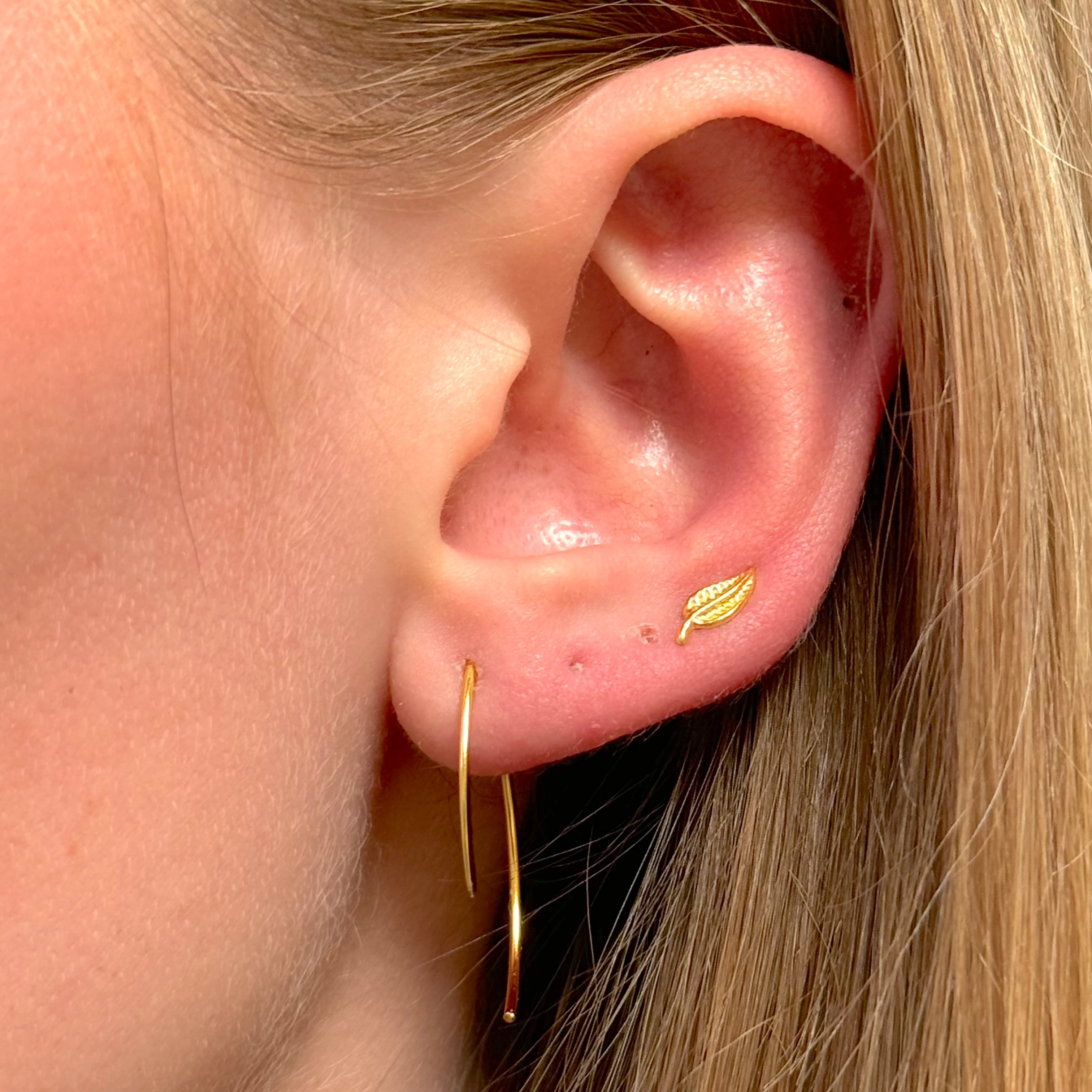 Blatt Stecker Vergoldet